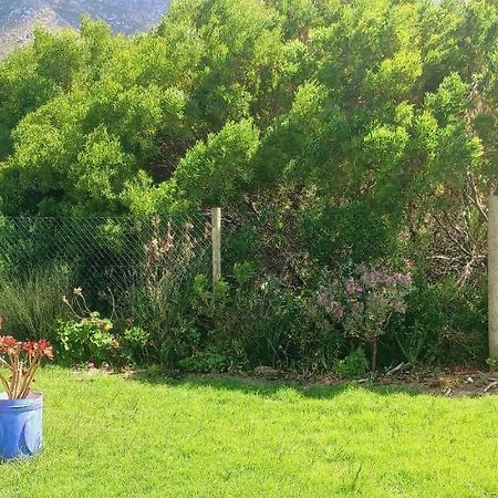 Cat Nap Cottage Bettyʼs Bay 외부 사진