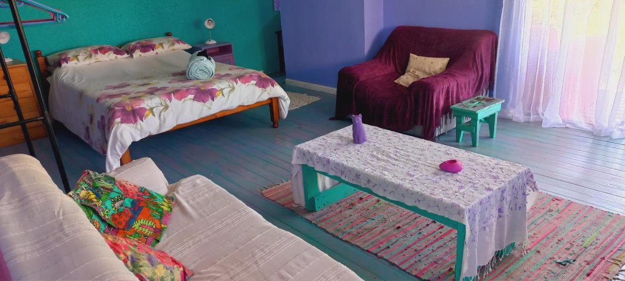 Cat Nap Cottage Bettyʼs Bay 외부 사진