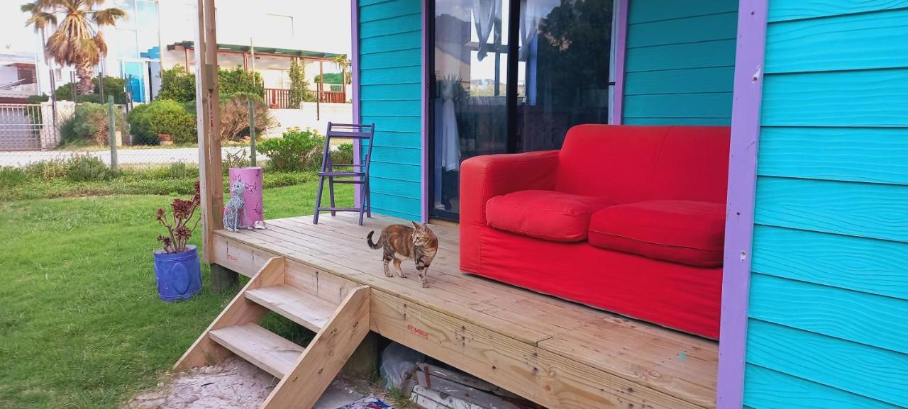 Cat Nap Cottage Bettyʼs Bay 외부 사진