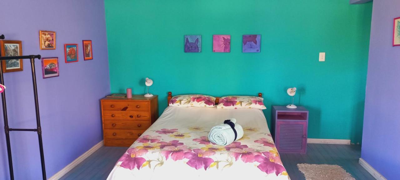 Cat Nap Cottage Bettyʼs Bay 외부 사진