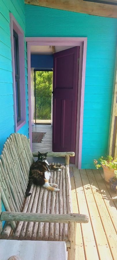 Cat Nap Cottage Bettyʼs Bay 외부 사진