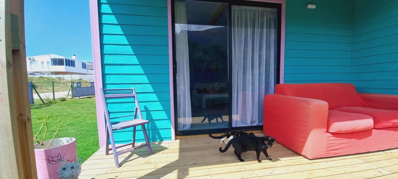 Cat Nap Cottage Bettyʼs Bay 외부 사진