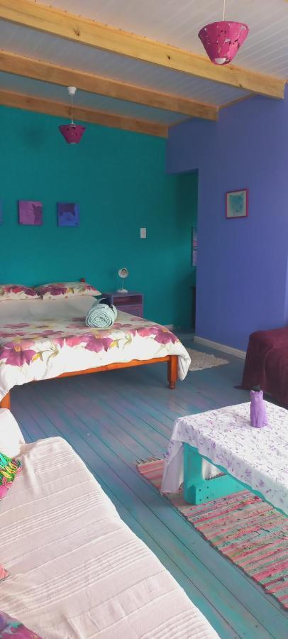 Cat Nap Cottage Bettyʼs Bay 외부 사진