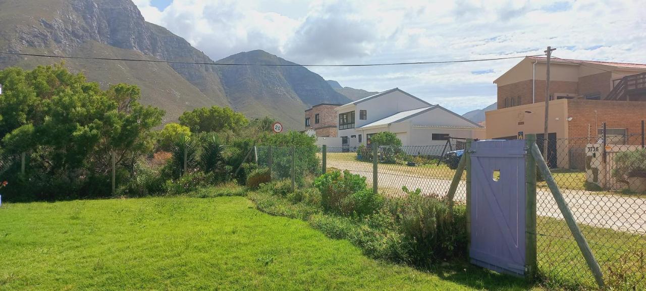 Cat Nap Cottage Bettyʼs Bay 외부 사진