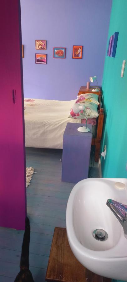 Cat Nap Cottage Bettyʼs Bay 외부 사진