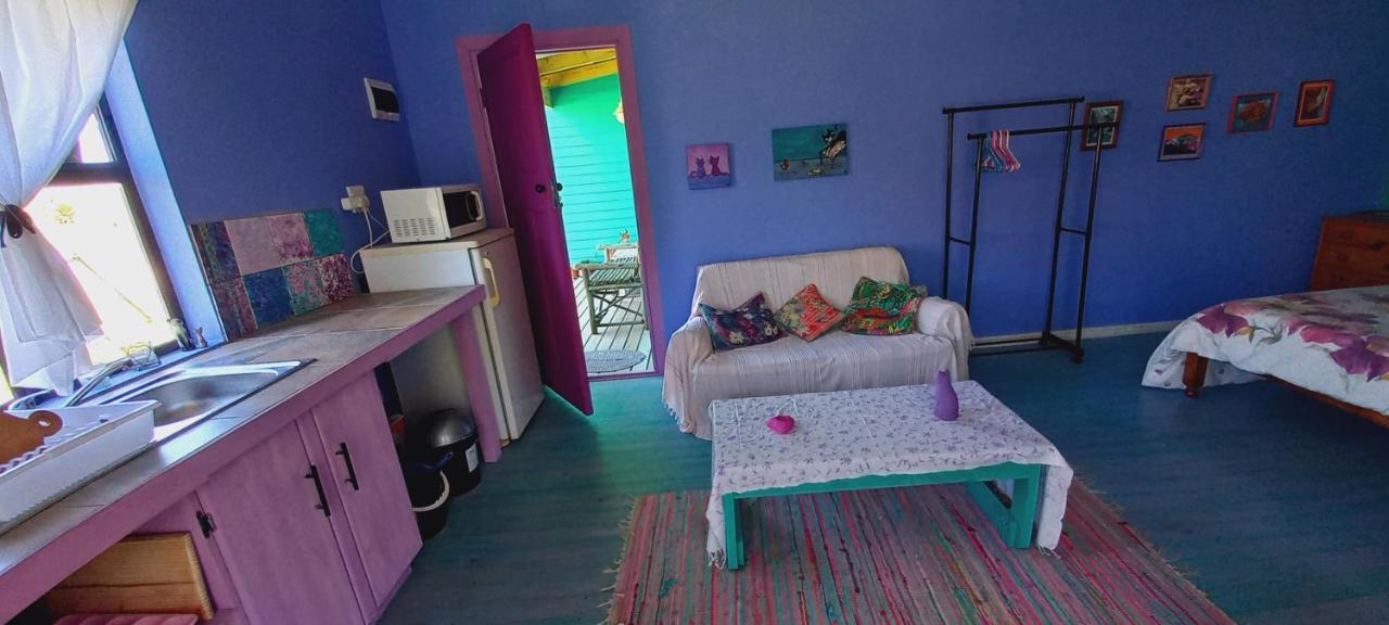 Cat Nap Cottage Bettyʼs Bay 외부 사진